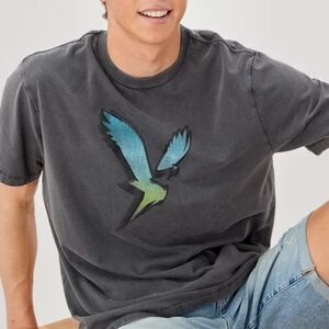 AE Super Soft Graphic T-Shirt Mens M Gray Boho Retro Y2K Casual Comfy